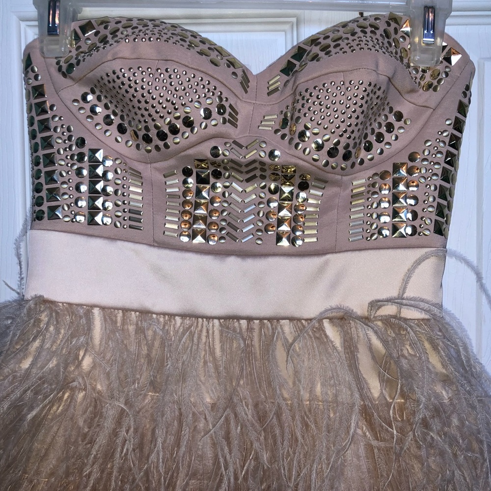 Feathered Cocktail Dress